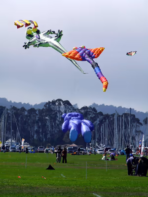 Marina Green photo 1